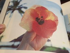 -西关84·History·Art·Cafe