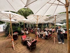 -Fern Forest Cafe