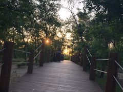 -渔岛海洋度假区