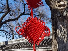 -北京国子监胡同