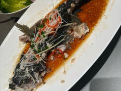 -羊门客在·烤盐池滩羊·川菜