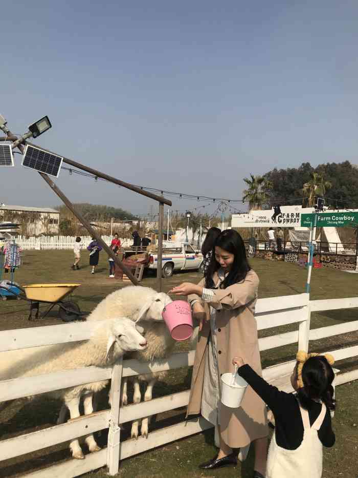 honey cc绵羊牧场摄影基地(番禺南村店)-"位置呢不太难找,只是交通