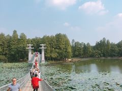 -东湖落雁景区