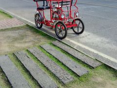 -艾溪湖湿地公园