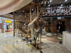-鲁比猴非洲探索部落(喜盈门店)