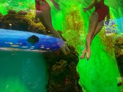-瑞德姆美人鱼海底演艺主题餐厅(亚龙湾店)