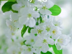 -陶然亭公园