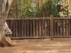 -海南热带野生动植物园