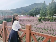 -广州市石门国家森林公园