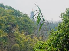 -重庆园博园
