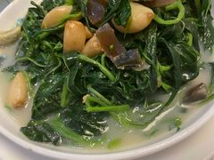 上汤苋菜-腰记饭店(龙源路店)