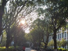 -厦门大学(思明校区)