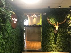 -V-STAR威斯达•高级私人定制