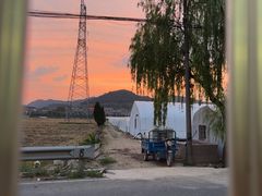 -李东农庄(中南百草园地标店)