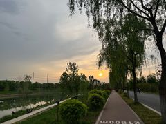 -洨河生态公园