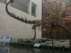 -衢州市博物馆