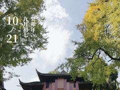 -青城山