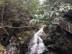 -藏龙百瀑风景区