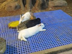 -苏州海洋馆