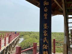 -北海金海湾红树林生态旅游区