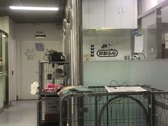 -达爱动物医院·犬猫分区·CT·复杂眼科(远洋山水分院)