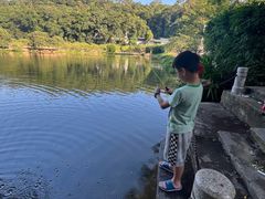 -南国桃园旅游度假区