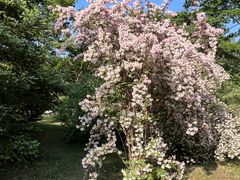 -国家植物园南园