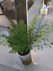 -吉艺心专业美发造型