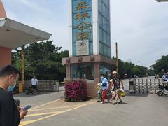 -日照海滨国家森林公园