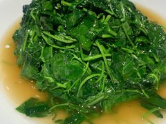 草头-姜君·千岛湖鱼头馆(浦东大道店)