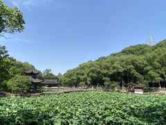 -忠山公园