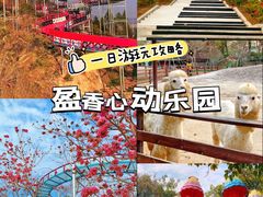 -盈香心动乐园