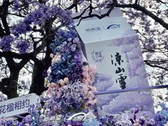 -西昌邛海湿地
