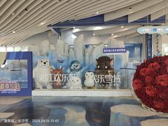 -长沙湘江冰雪世界