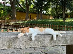 -西园戒幢律寺
