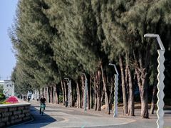 -宝安西湾红树林湿地公园