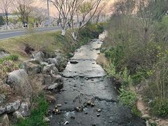 -羊山湖公园