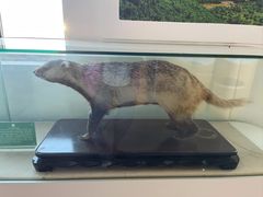 -洮儿河国家湿地公园