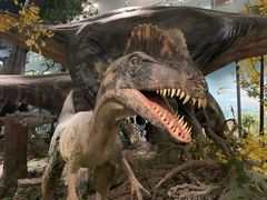 -湖南省地质博物馆