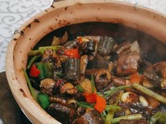 -天宝食坊·啫啫煲大排档(西华路店)