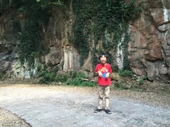 -上海佘山国家森林公园西佘山园