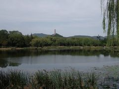-北坞公园