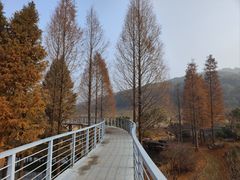 -无锡梅园公园