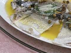 -金星大酒店(东街店)