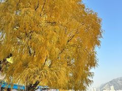 -上海交通大学(闵行校区)