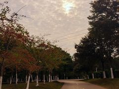 -凤凰沟景区