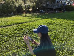 -YESIDO椰岛造型烫发染发