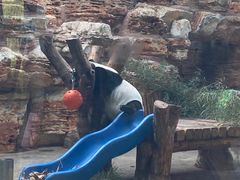 -石家庄市动物园