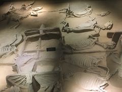 -洛阳周王城天子驾六博物馆