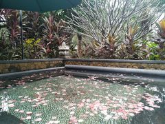 会所玫瑰池-厦门日月谷温泉渡假村